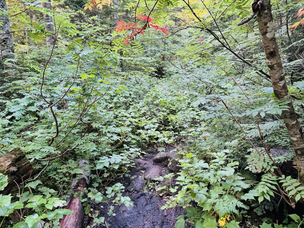 百名山・乗鞍岳日帰り登山日記