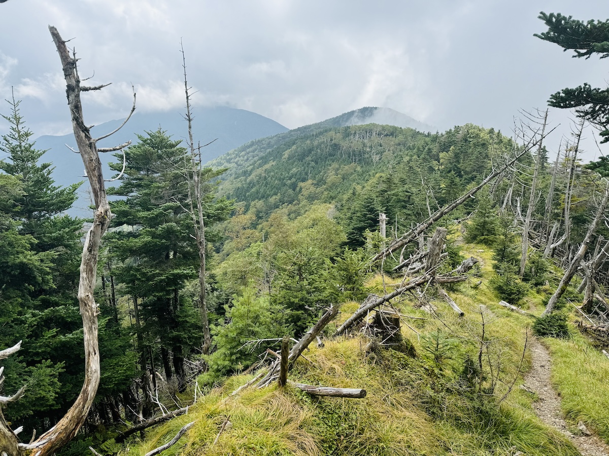 南アルプス3泊4日縦走登山1日目（畑薙ダム〜茶臼岳〜光小屋テント泊）