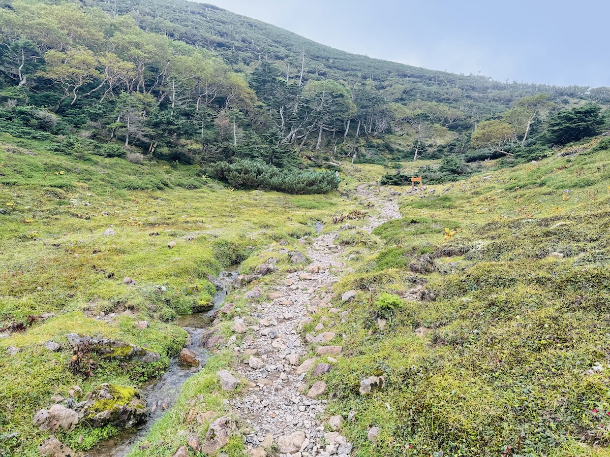 南アルプス3泊4日縦走登山1日目（畑薙ダム〜茶臼岳〜光小屋テント泊）