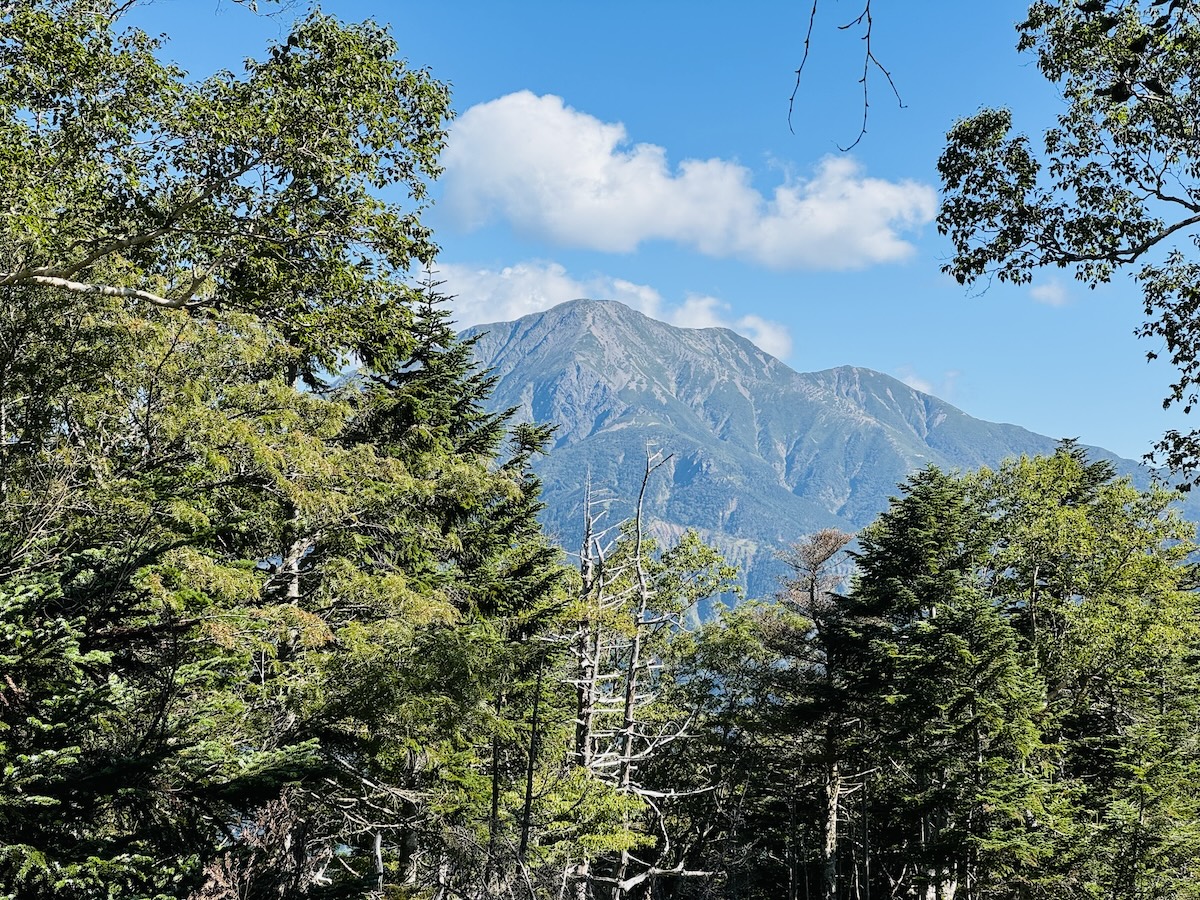 南アルプス3泊4日縦走登山2日目（光小屋〜光岳〜上河内岳〜聖平小屋テント泊）