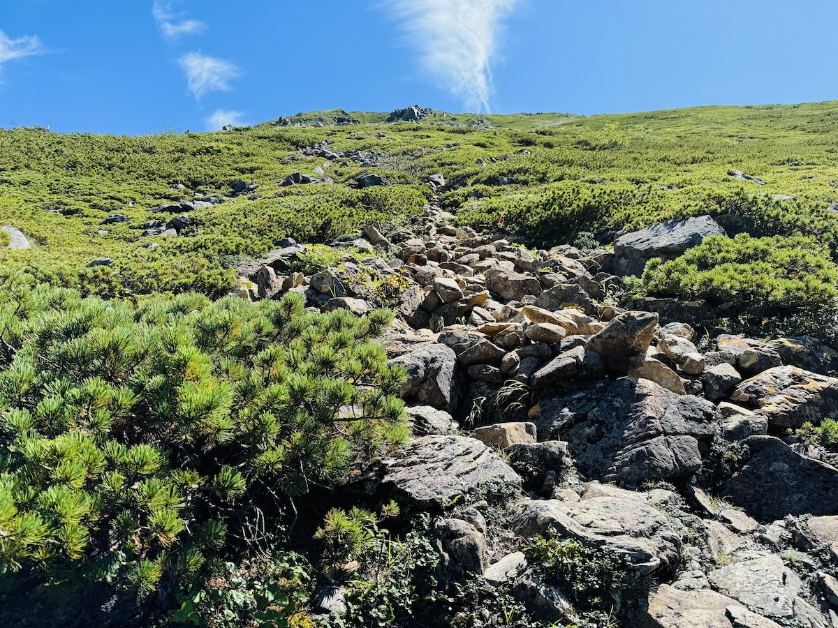 南アルプス3泊4日縦走登山3日目（聖平小屋〜聖岳〜赤石岳〜荒川小屋泊）