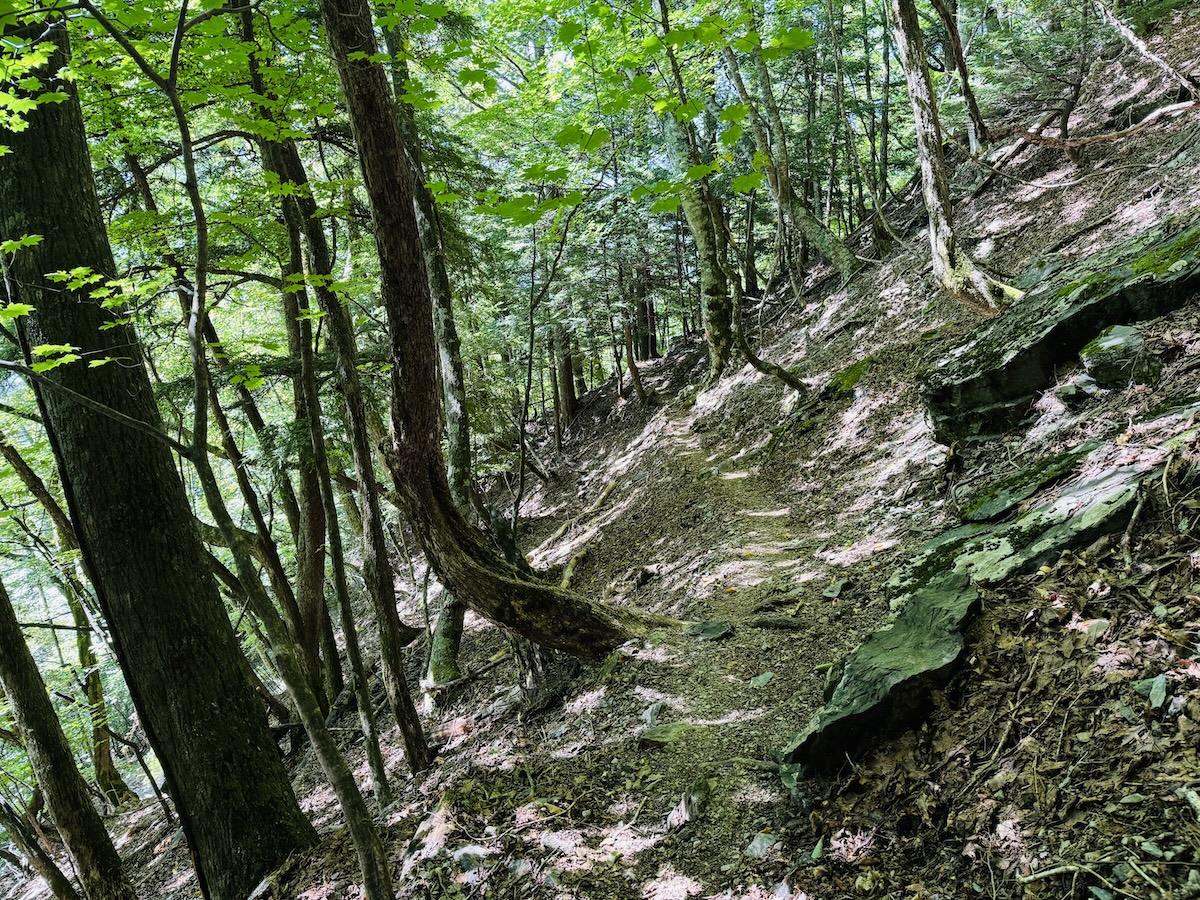 南アルプス3泊4日縦走登山4日目（荒川小屋〜悪沢岳〜椹島へ下山）