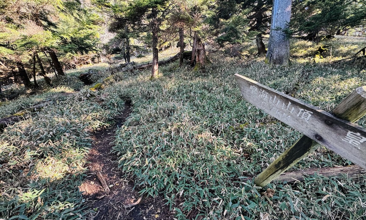 百名山・皇海山クラシックルート日帰り登山日記