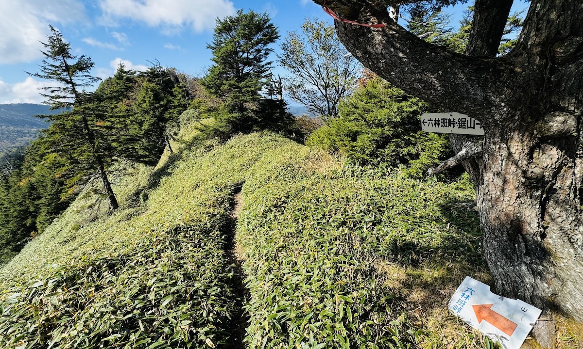 百名山・皇海山クラシックルート日帰り登山日記