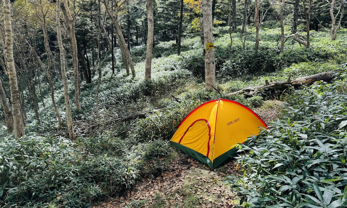 百名山・皇海山クラシックルート日帰り登山日記