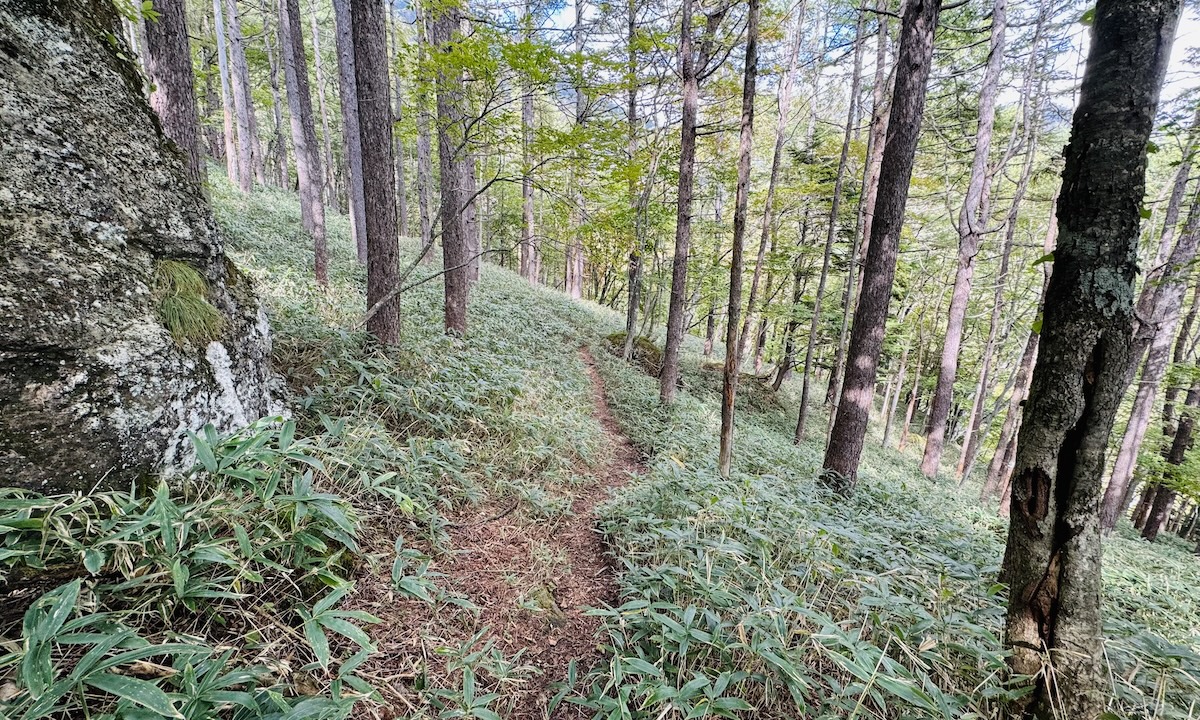 百名山・皇海山クラシックルート日帰り登山日記