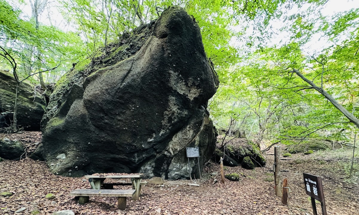 百名山・皇海山クラシックルート日帰り登山日記