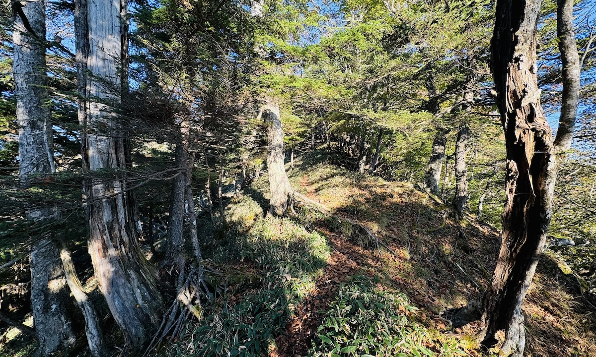 百名山・皇海山クラシックルート日帰り登山日記