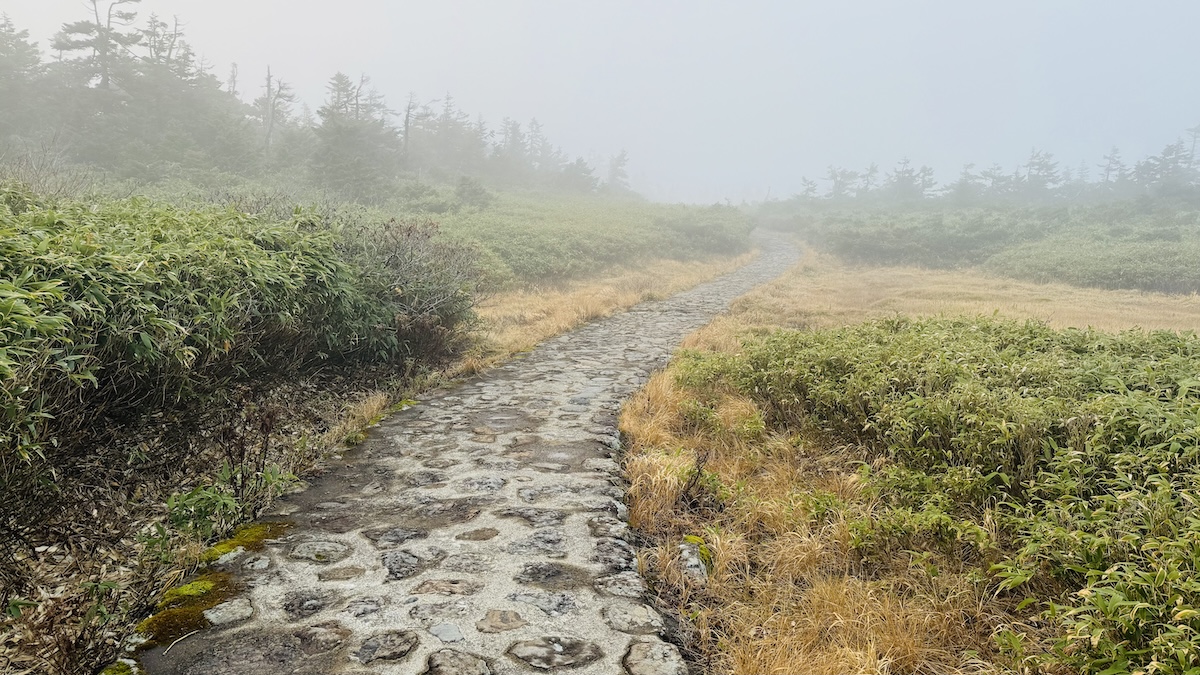 百名山・八幡平（陵雲荘泊）1泊2日登山日記