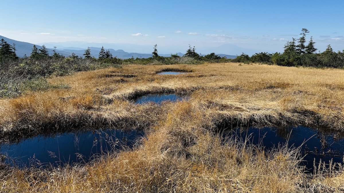 百名山・八甲田山日帰り登山日記