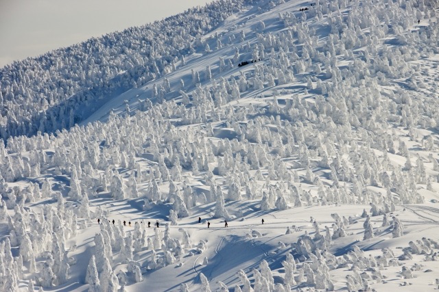 百名山・八甲田山日帰り登山日記