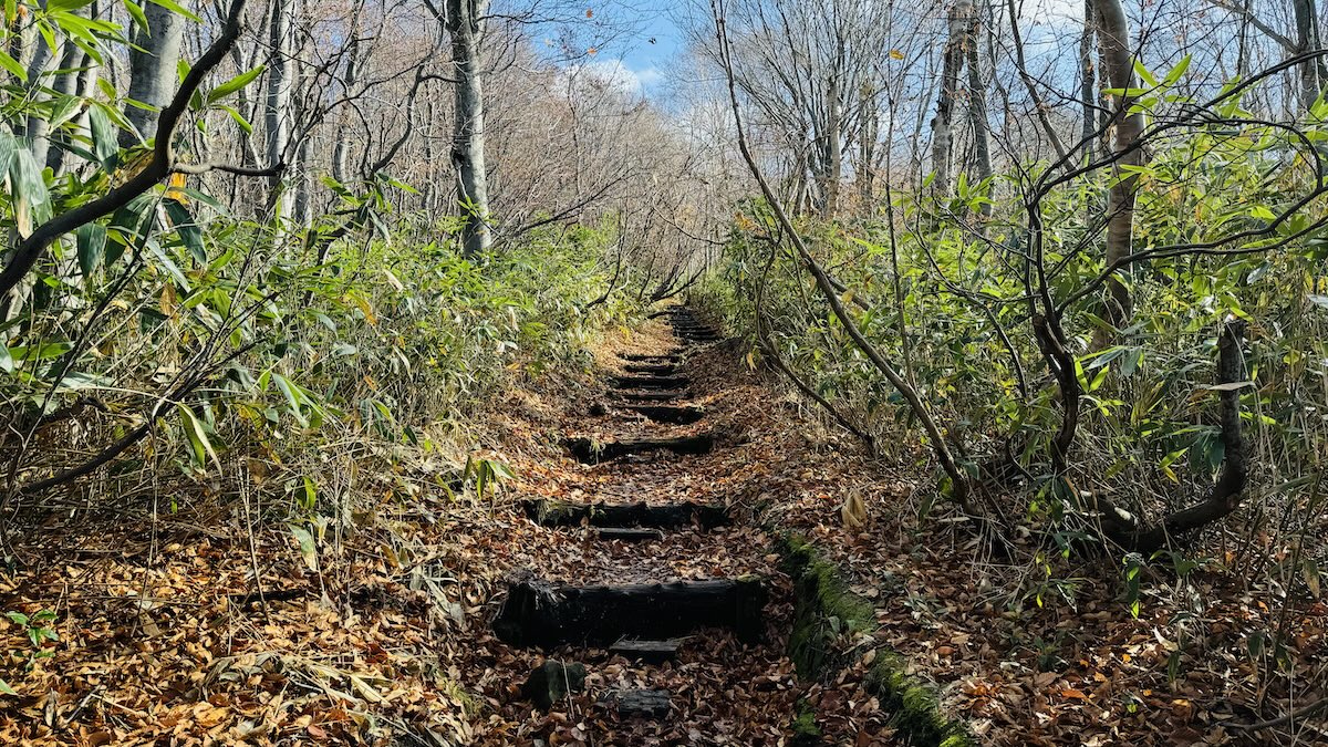 百名山・八甲田山日帰り登山日記