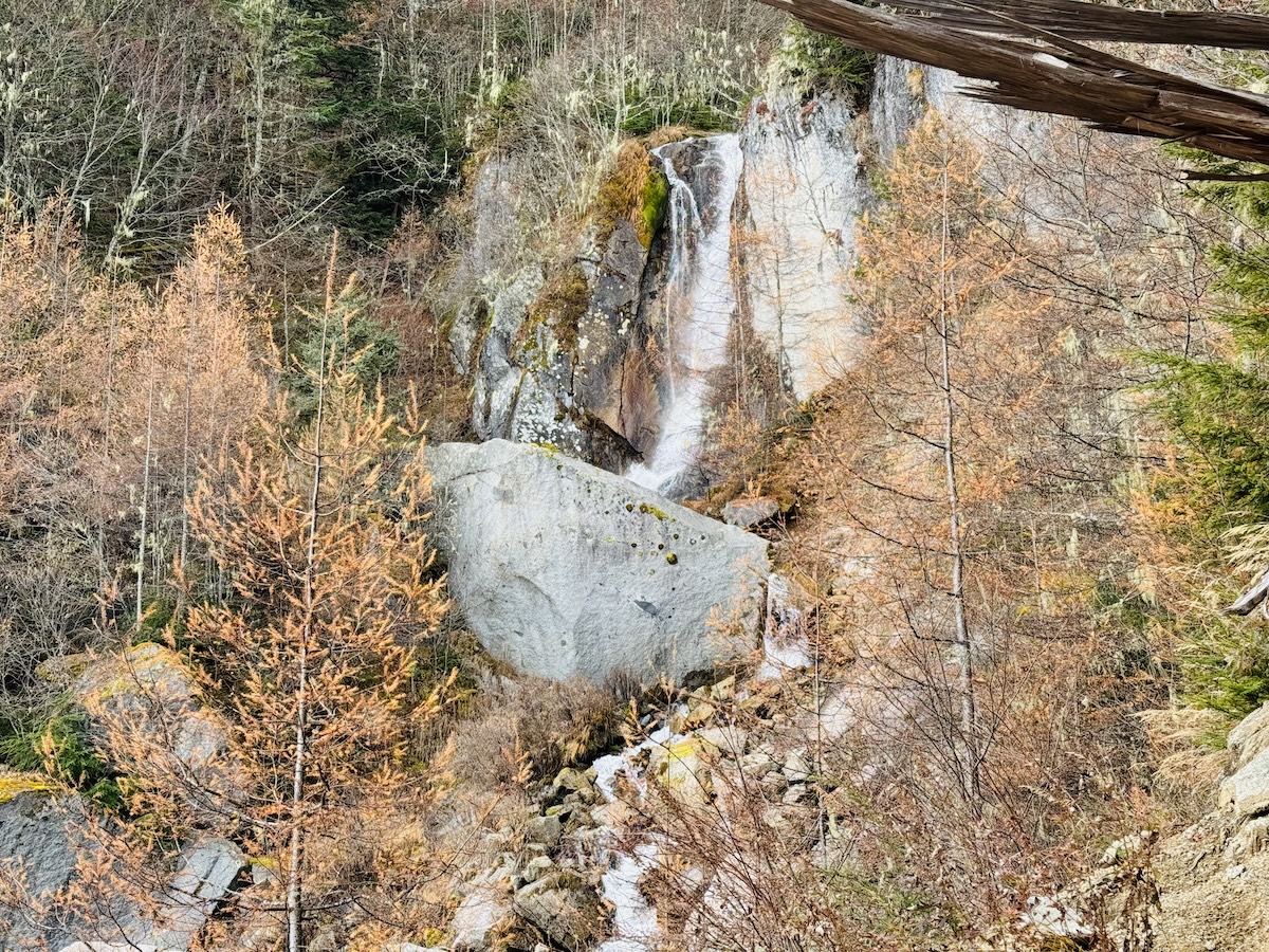 百名山・鳳凰山日帰り登山日記（青木鉱泉周回、登りドンドコ沢、下り中道）