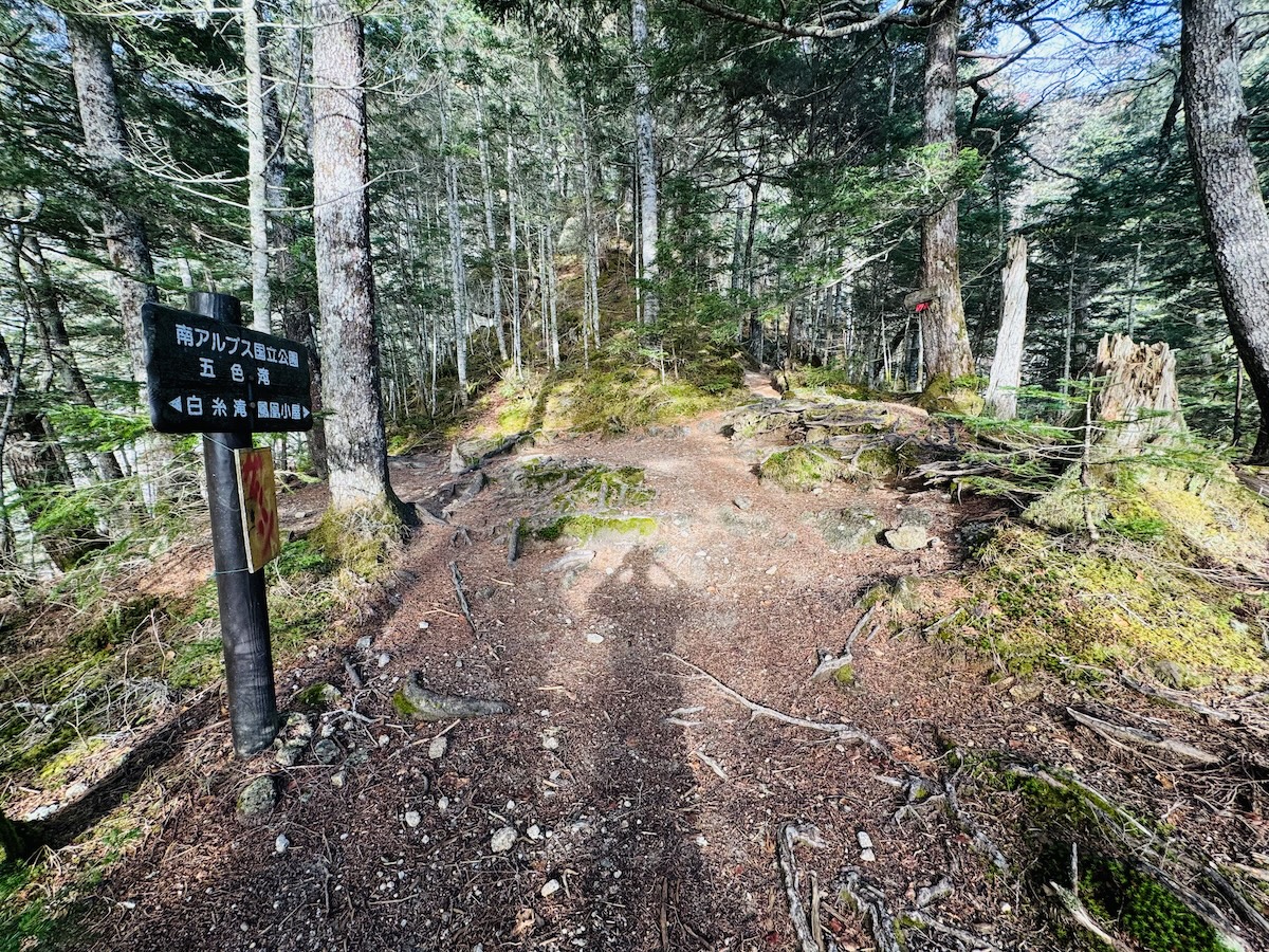 百名山・鳳凰山日帰り登山日記（青木鉱泉周回、登りドンドコ沢、下り中道）