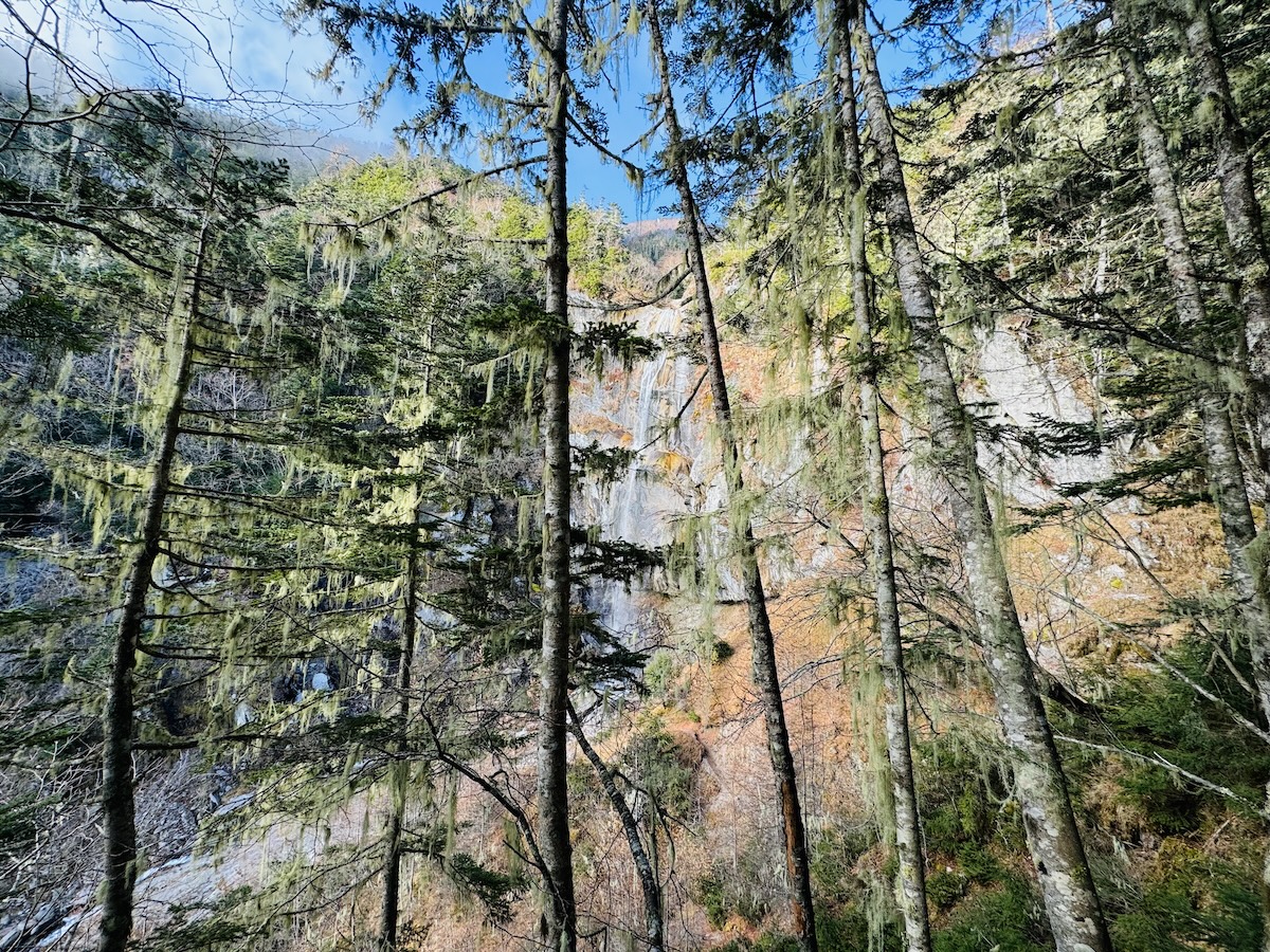 百名山・鳳凰山日帰り登山日記（青木鉱泉周回、登りドンドコ沢、下り中道）