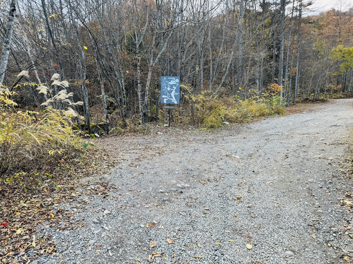 百名山・鳳凰山日帰り登山日記（青木鉱泉周回、登りドンドコ沢、下り中道）