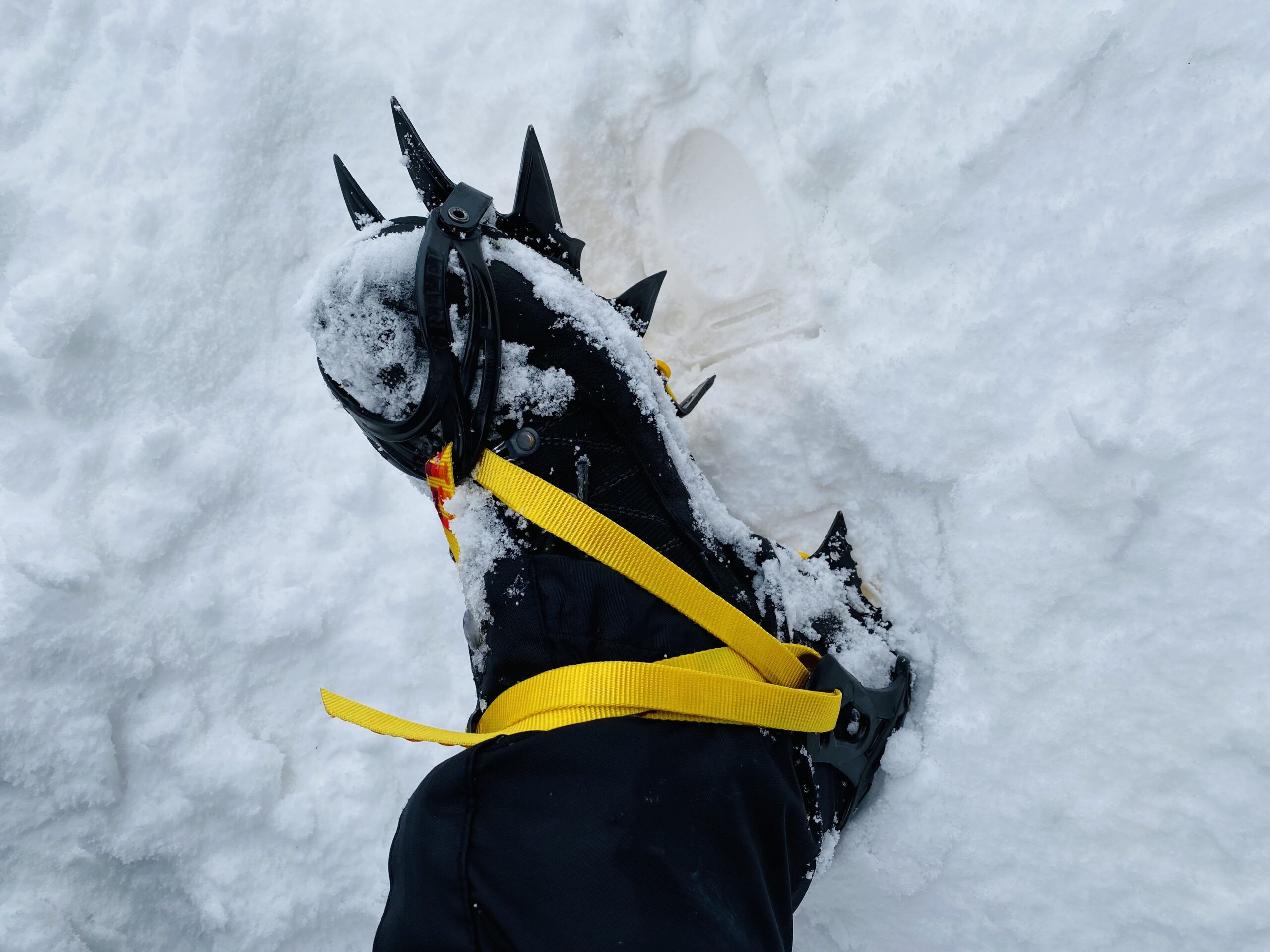 グリベルG12ニュークラシックをレビュー（雪山登山におすすめの12本爪アイゼン）