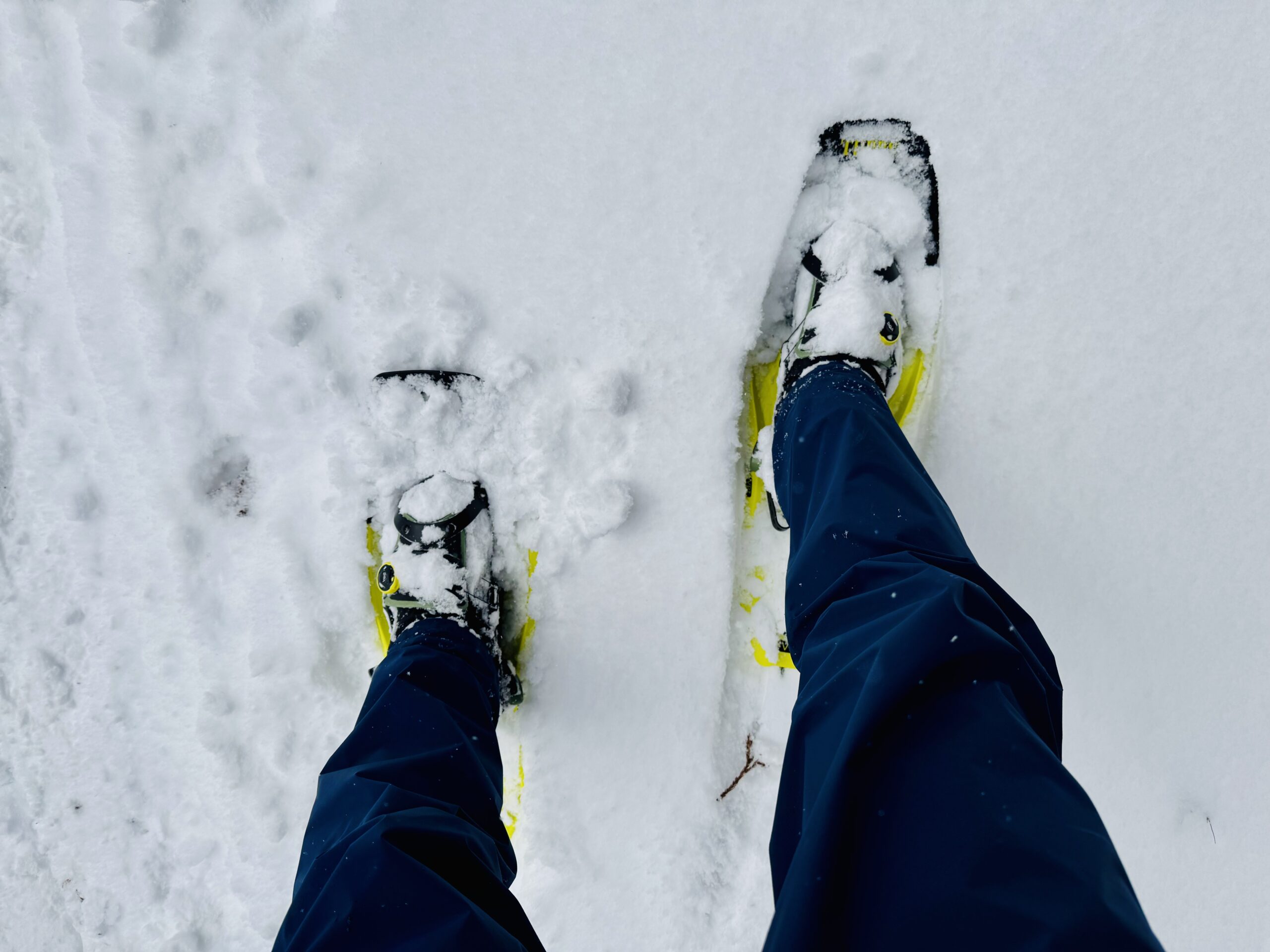 TUBBS(タブス)FLEX VRTをレビュー（雪山登山におすすめ山岳用スノーシュー）