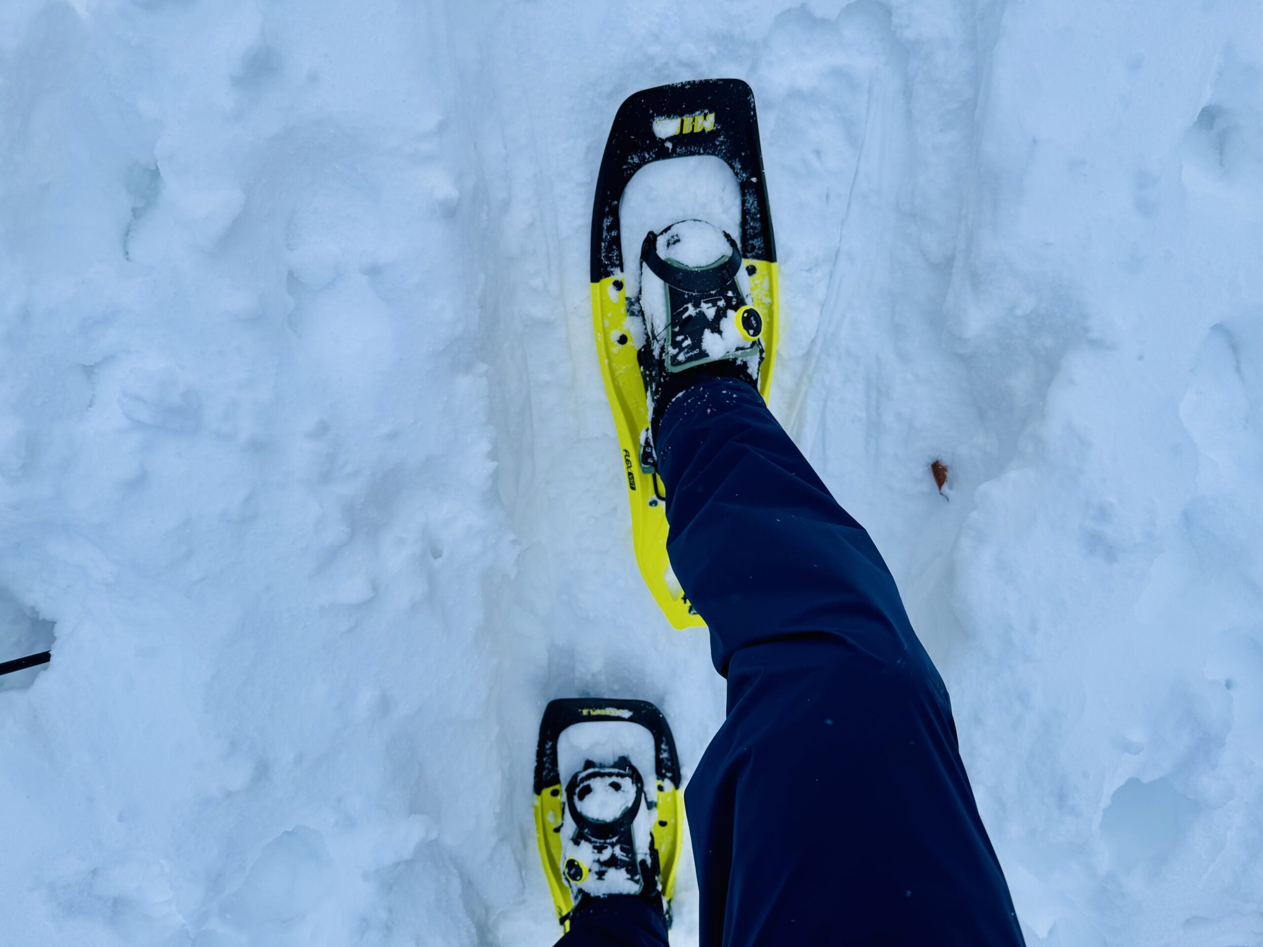 TUBBS(タブス)FLEX VRTをレビュー（雪山登山におすすめ山岳用スノーシュー）