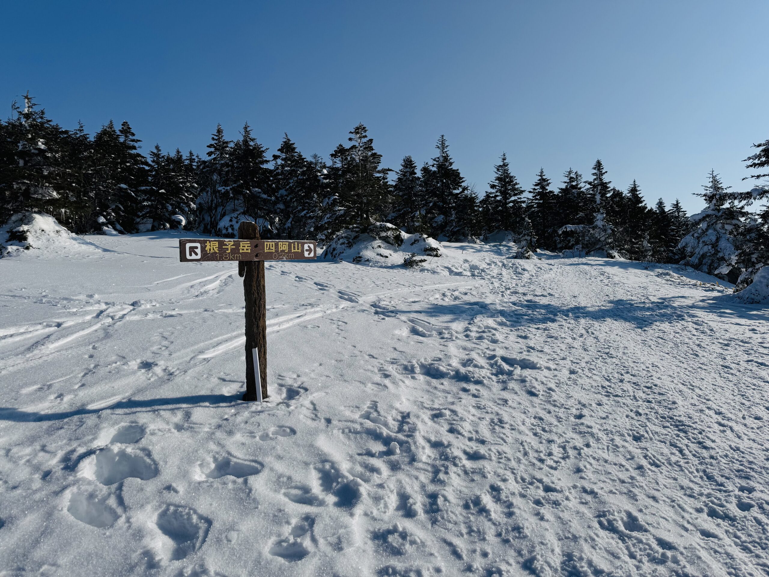 百名山・四阿山日帰り登山 2025.1.23