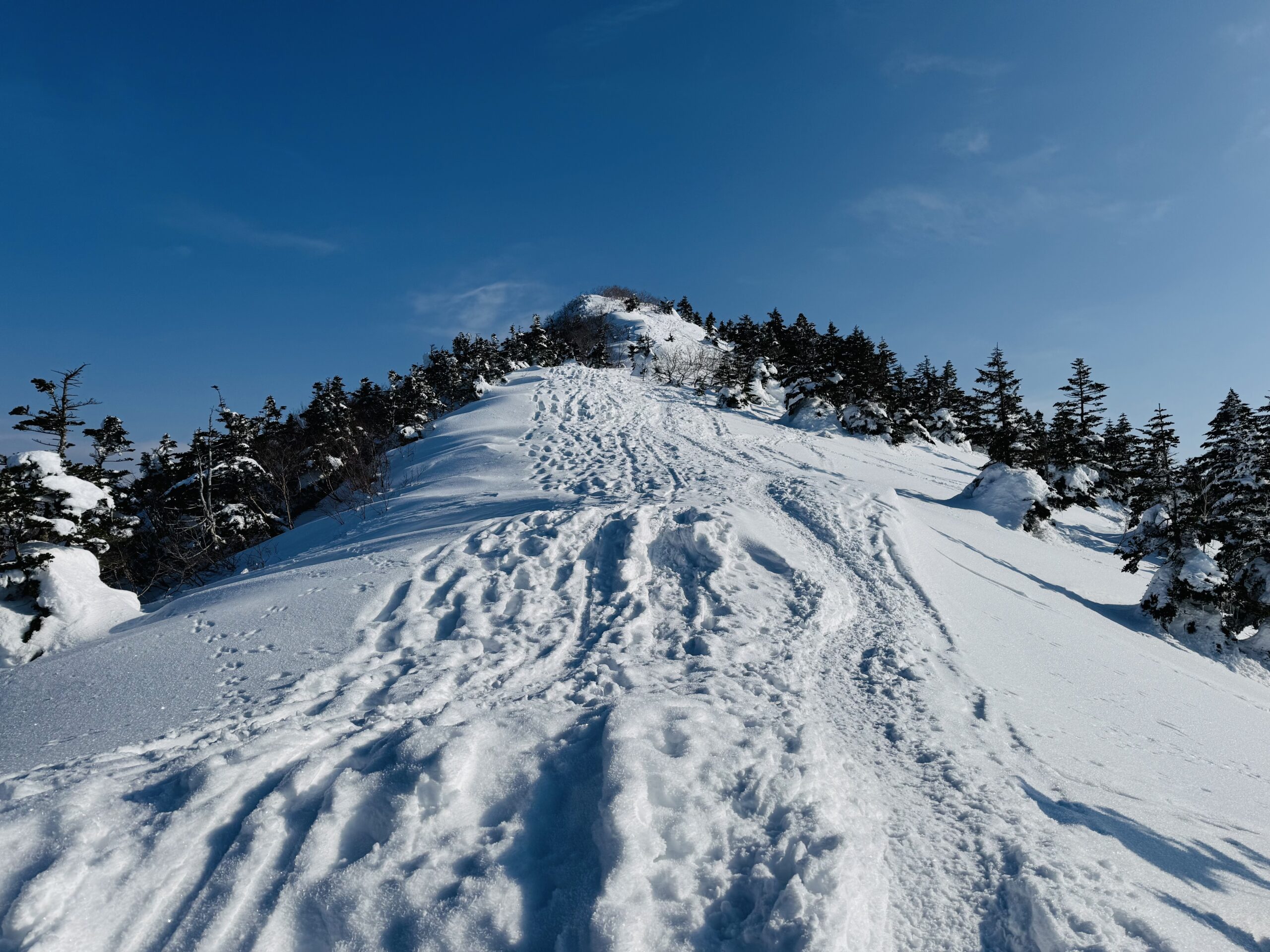 百名山・四阿山日帰り登山 2025.1.23