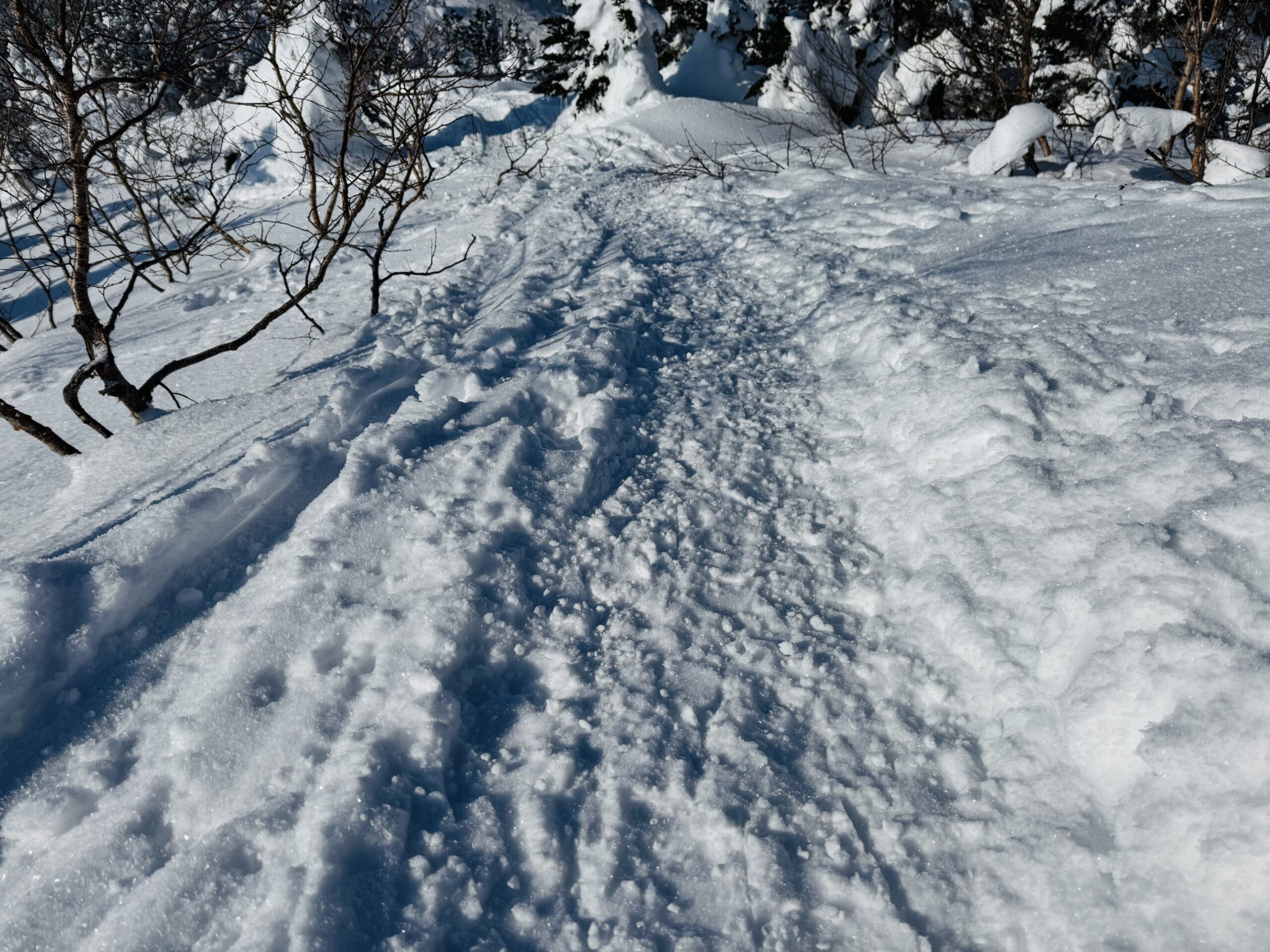 百名山・四阿山日帰り登山 2025.1.23