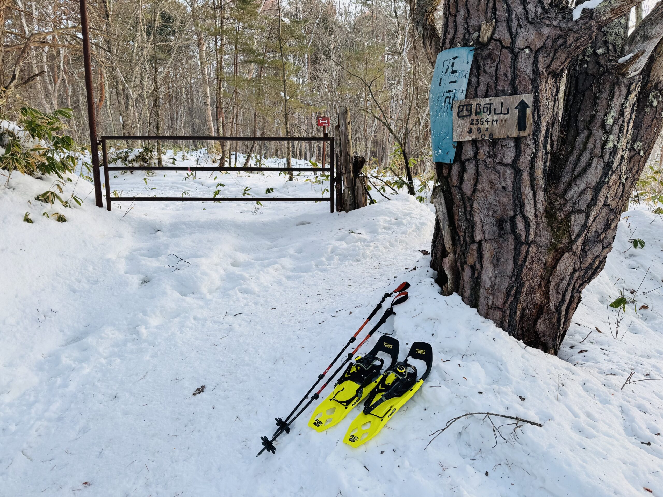 百名山・四阿山日帰り登山 2025.1.23