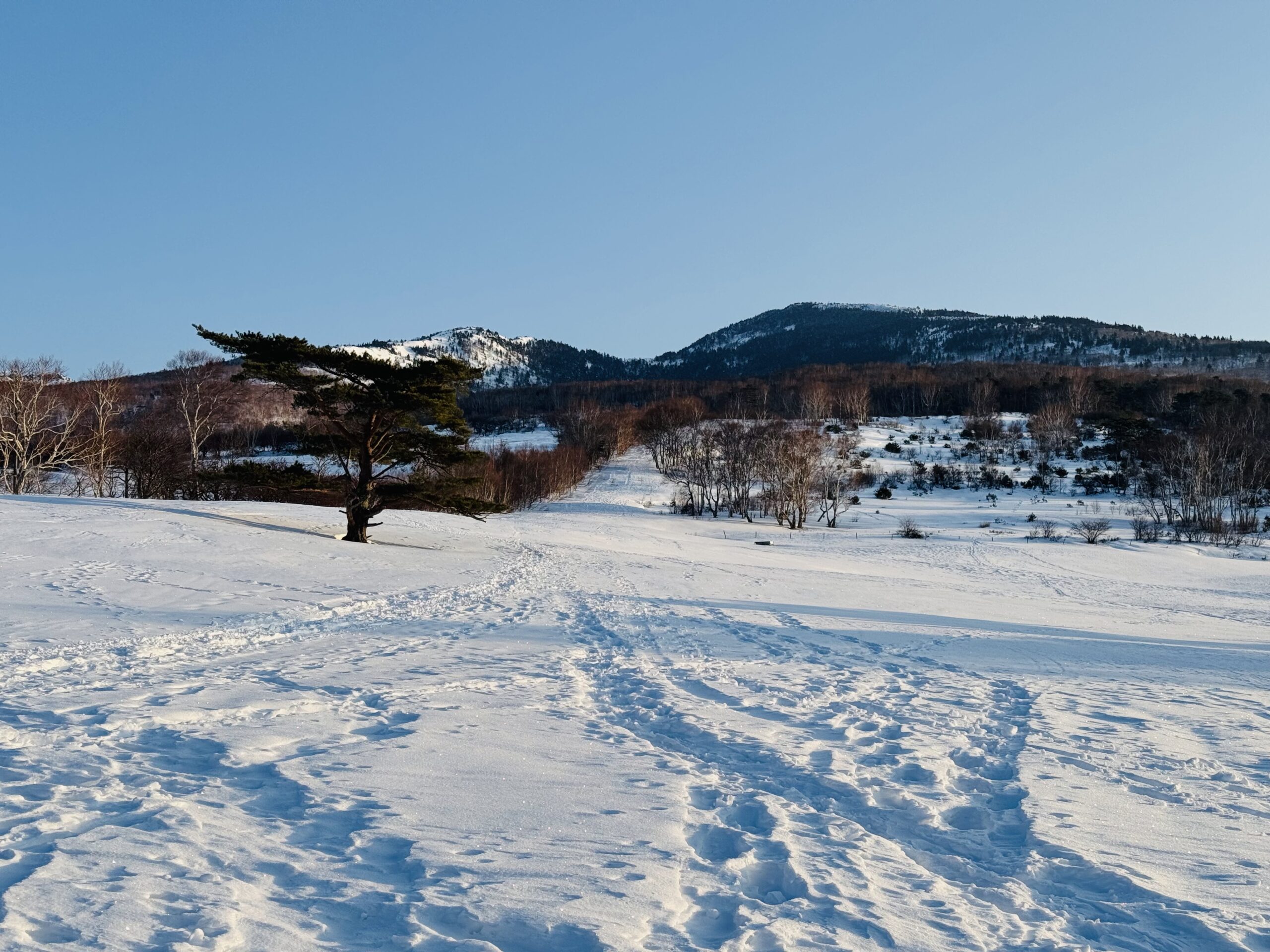 百名山・四阿山日帰り登山 2025.1.23