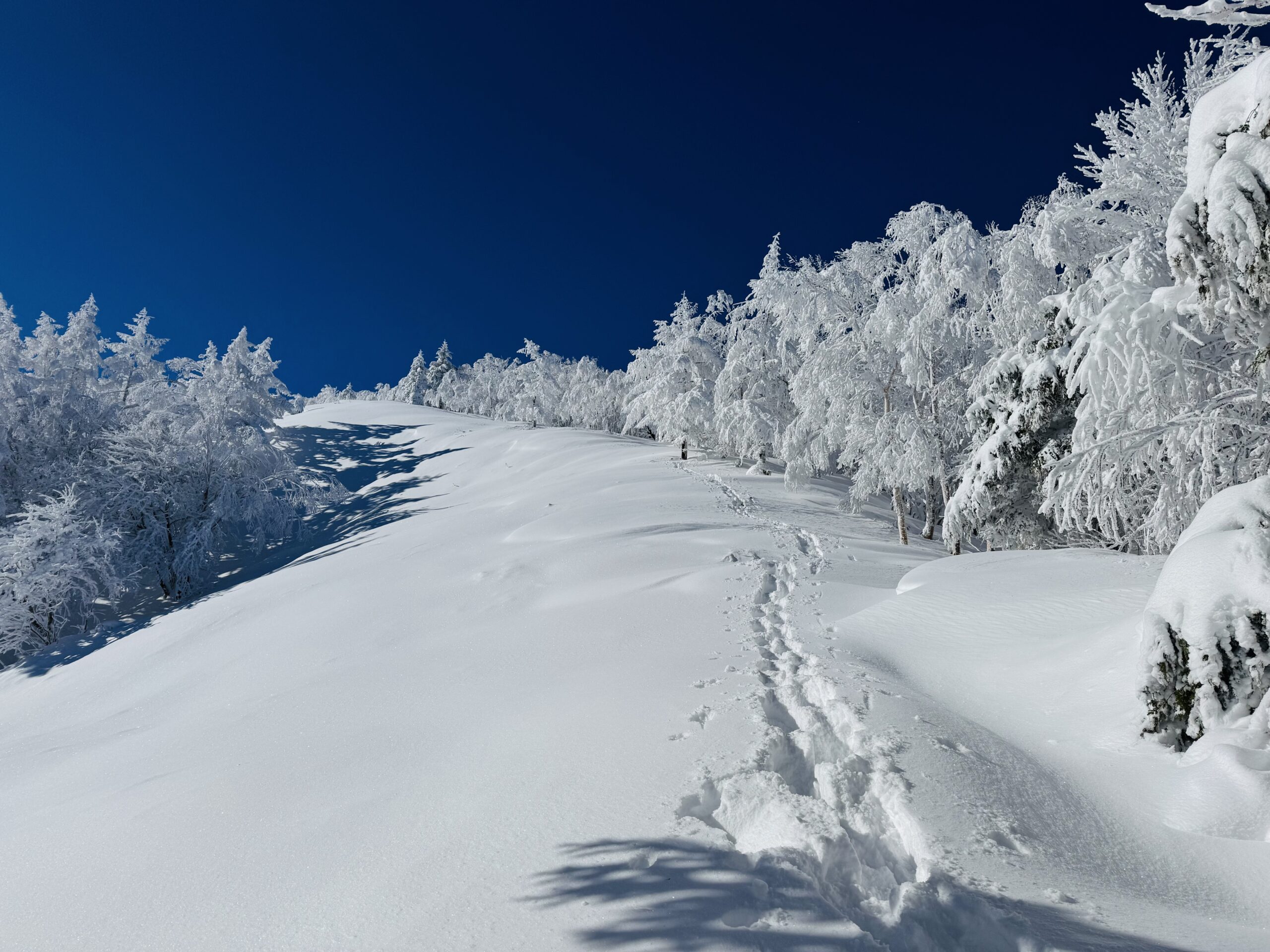 【百名山・恵那山】快晴×雪山！広河原ルートからワカンで日帰り登山 2025.1.11