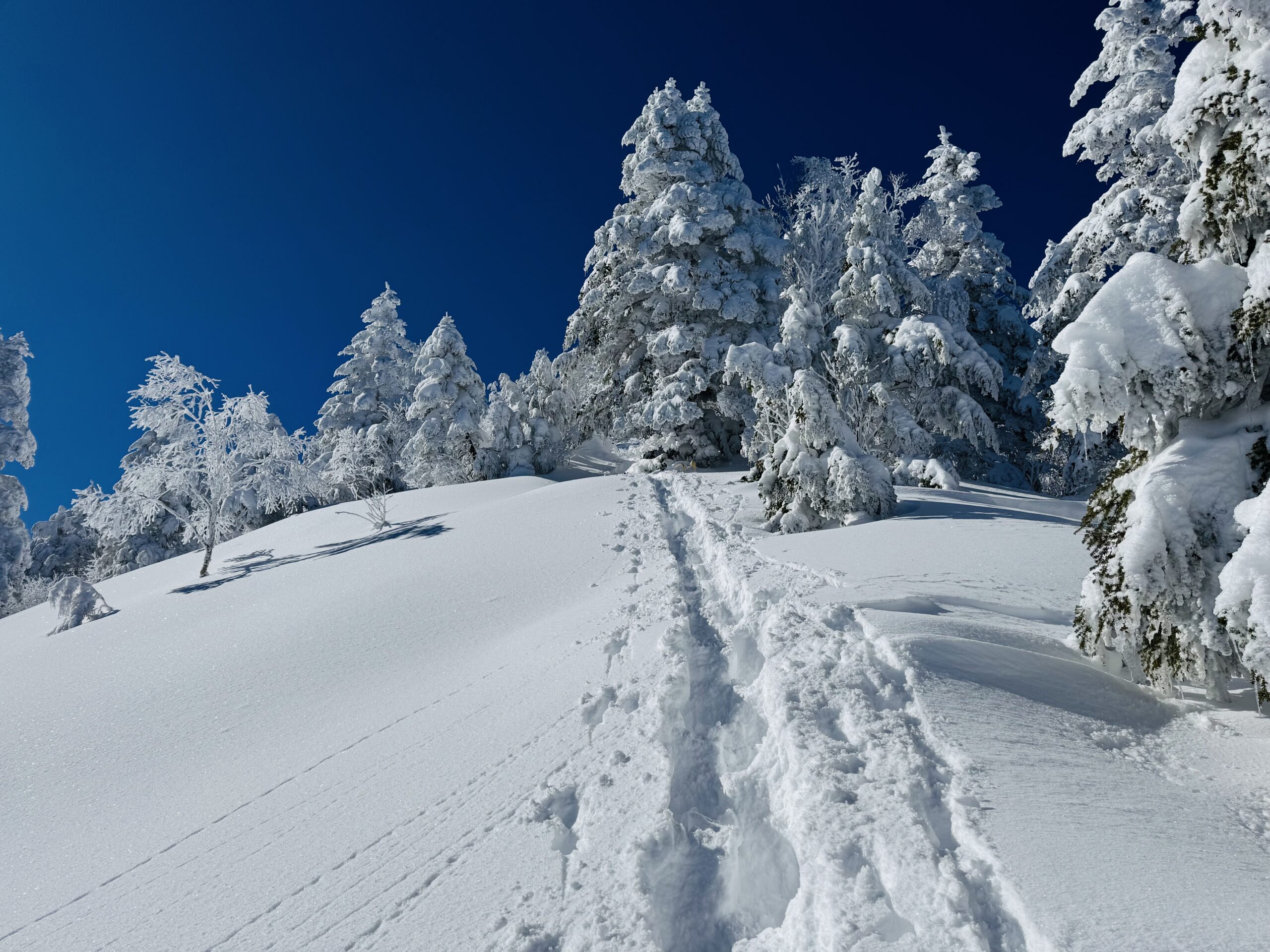 【百名山・恵那山】快晴×雪山！広河原ルートからワカンで日帰り登山 2025.1.11