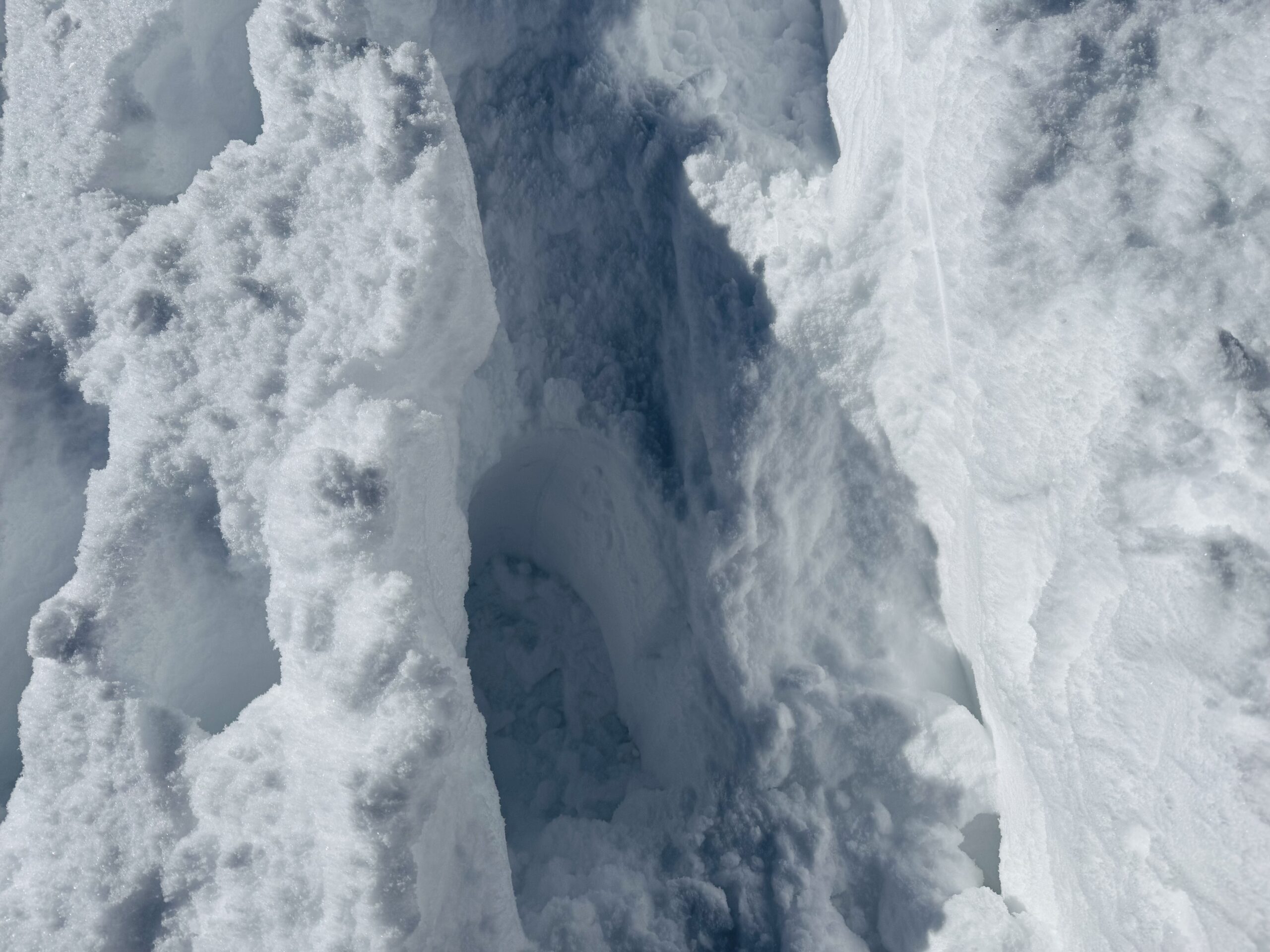 【百名山・恵那山】快晴×雪山！広河原ルートからワカンで日帰り登山 2025.1.11