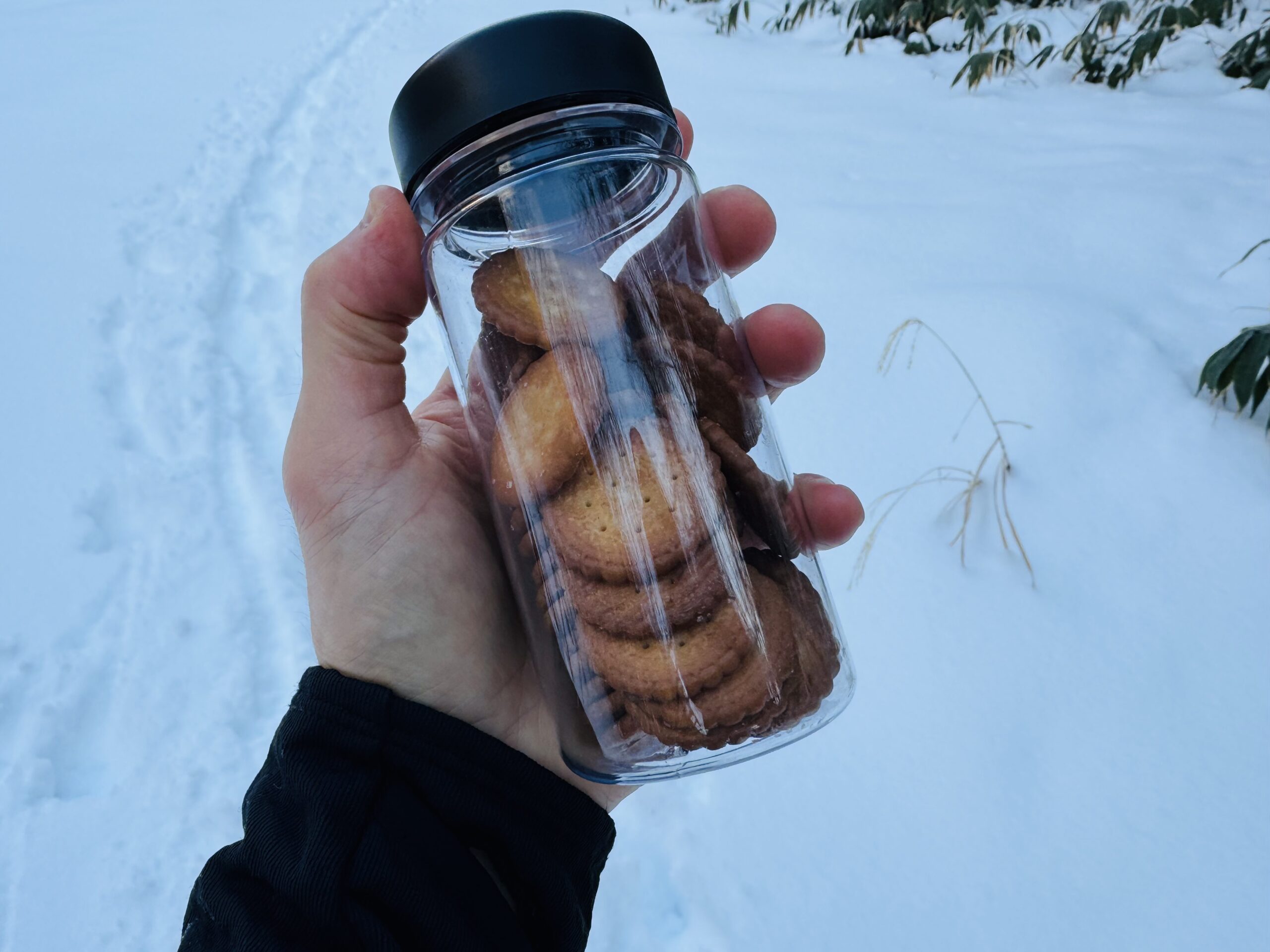 【百名山・恵那山】快晴×雪山！広河原ルートからワカンで日帰り登山 2025.1.11