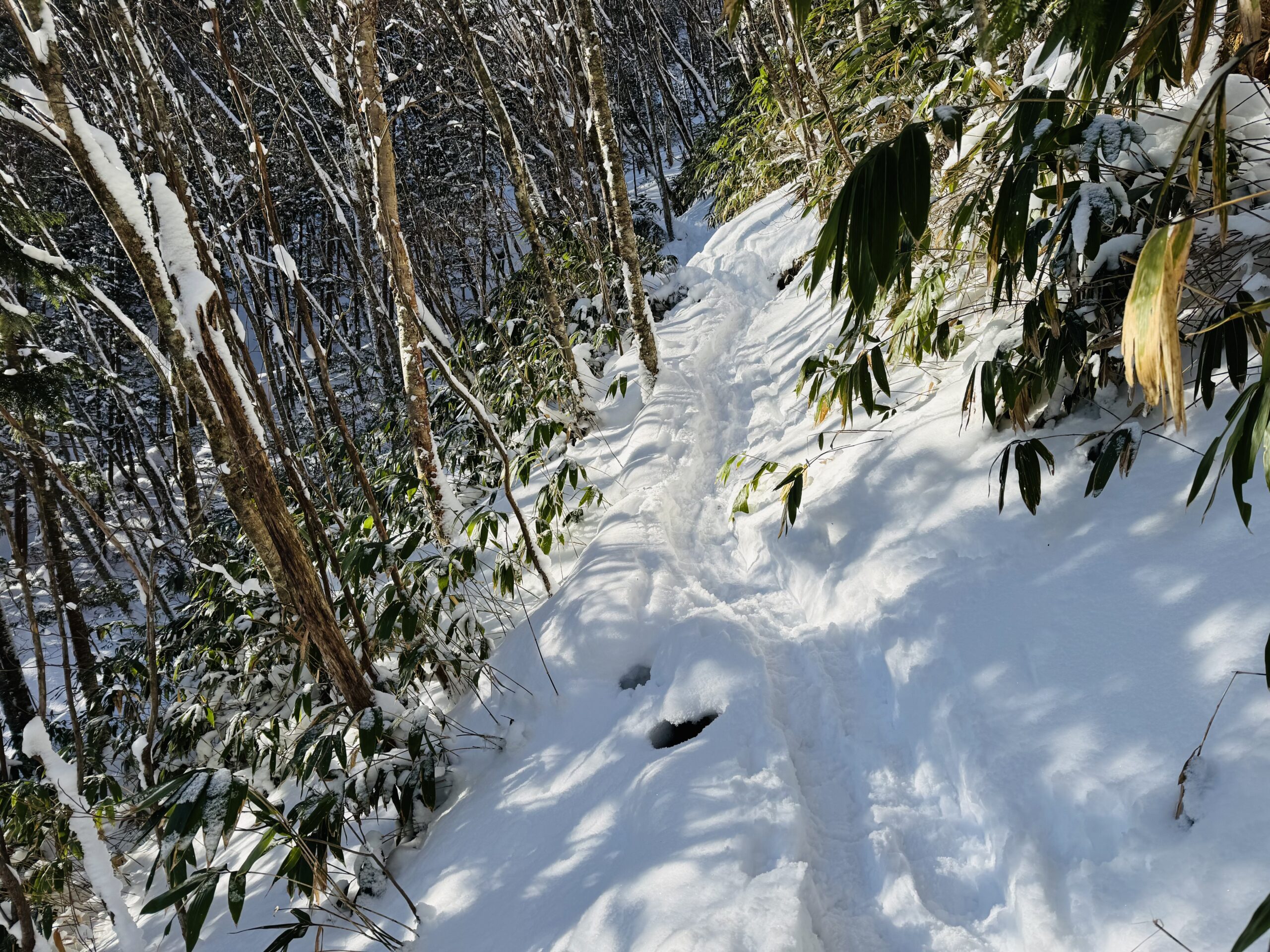 【百名山・恵那山】快晴×雪山！広河原ルートからワカンで日帰り登山 2025.1.11