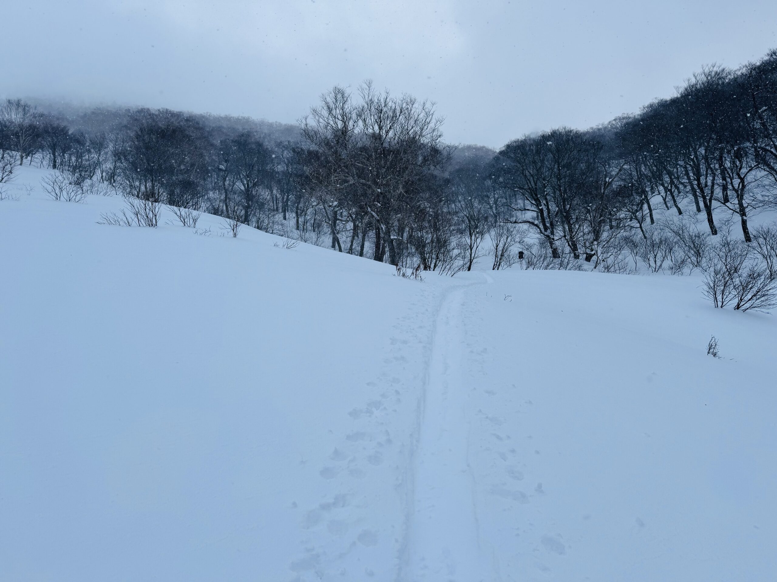 【平標山×スノーシュー】冬限定！ヤカイ沢ルートを楽しむ雪山日帰り登山 2025.1.2