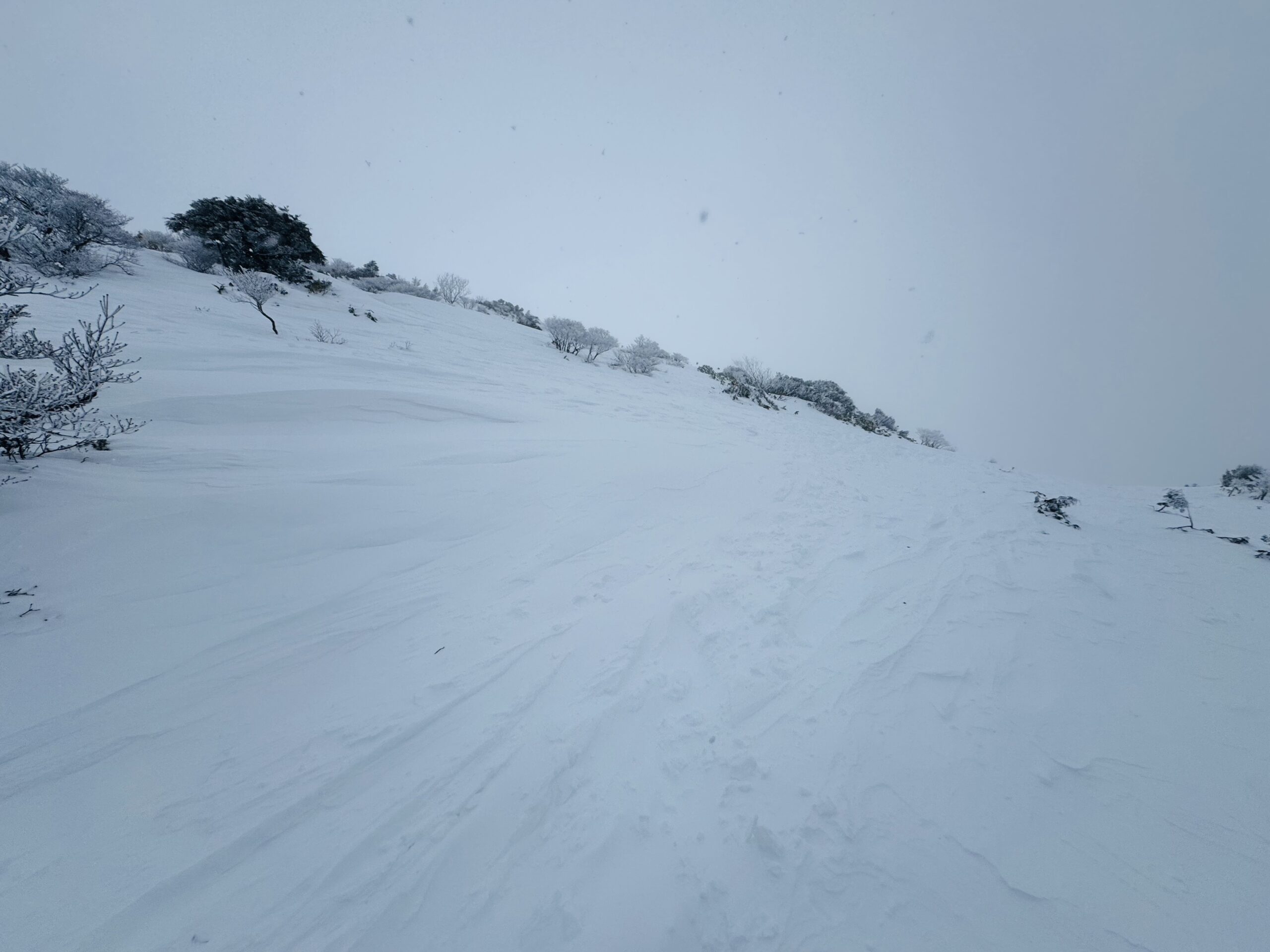 【平標山×スノーシュー】冬限定！ヤカイ沢ルートを楽しむ雪山日帰り登山 2025.1.2