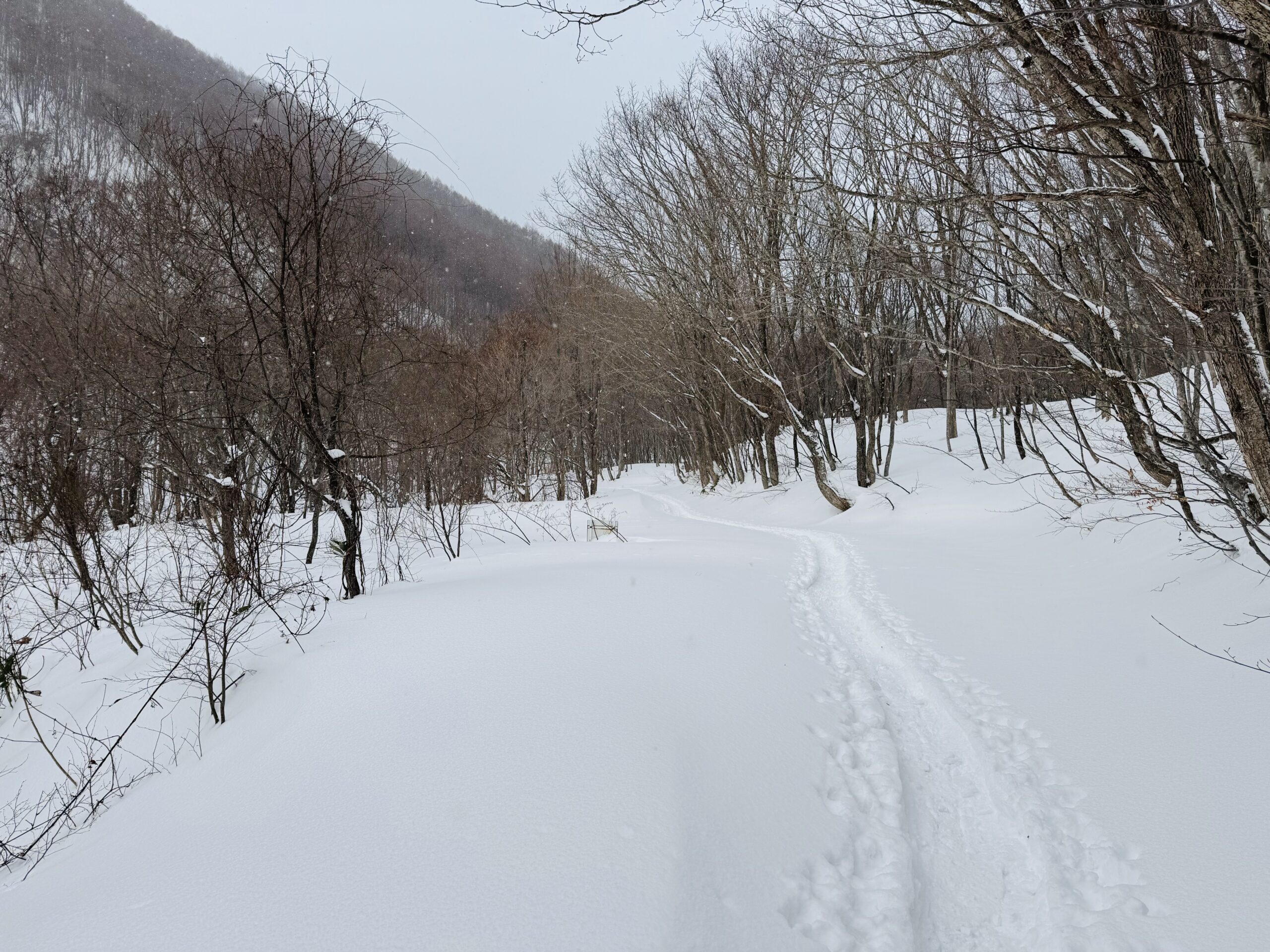 【平標山×スノーシュー】冬限定！ヤカイ沢ルートを楽しむ雪山日帰り登山 2025.1.2