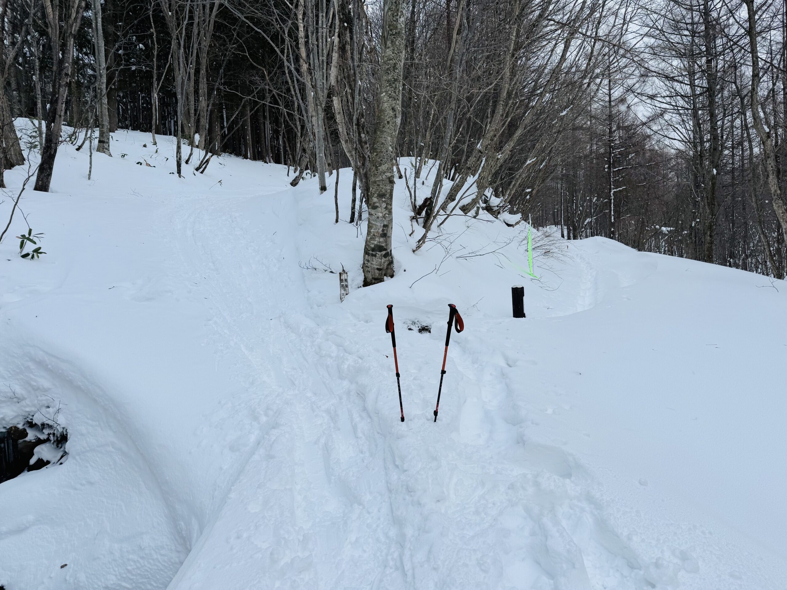 【平標山×スノーシュー】冬限定！ヤカイ沢ルートを楽しむ雪山日帰り登山 2025.1.2