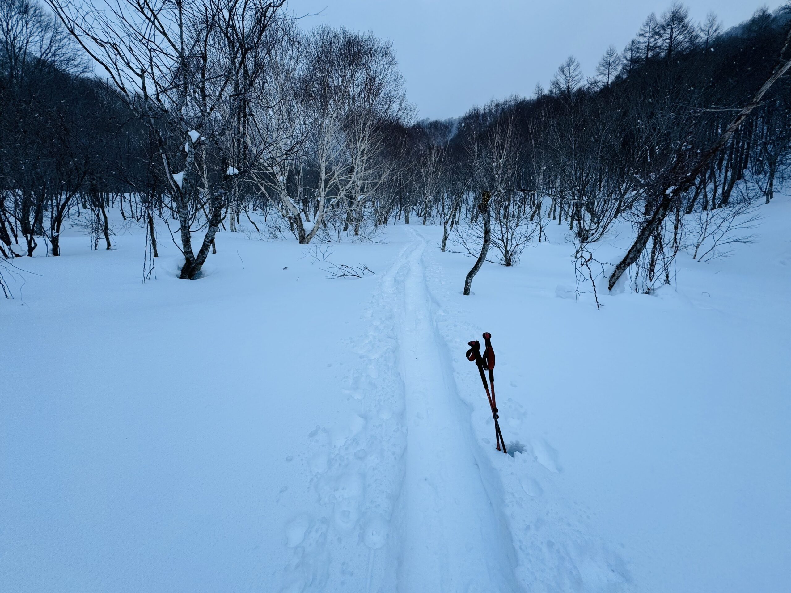 【平標山×スノーシュー】冬限定！ヤカイ沢ルートを楽しむ雪山日帰り登山 2025.1.2