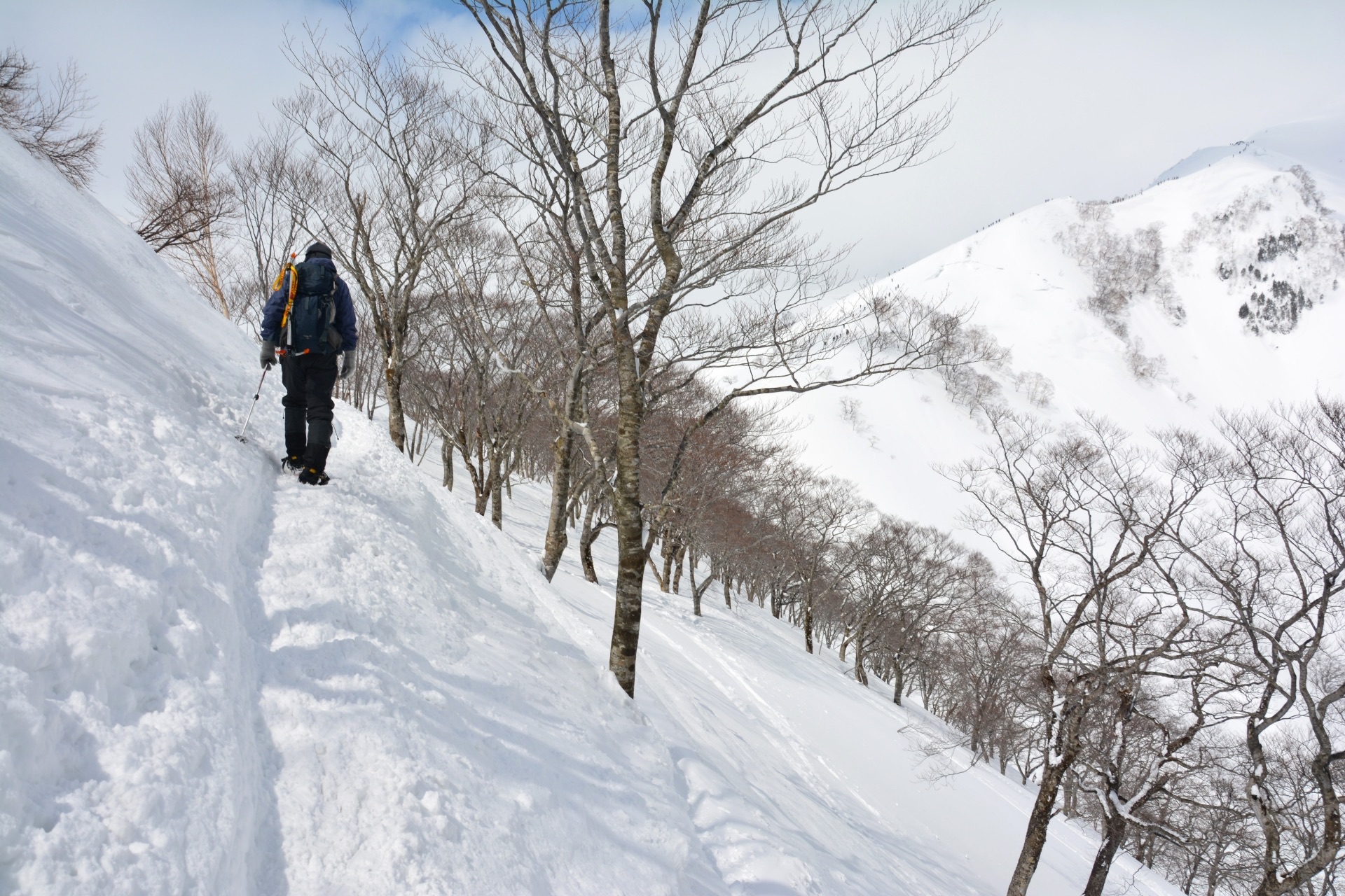 雪山登山におすすめのスノーシュー14選（MSR、TUBBS、ATLAS）